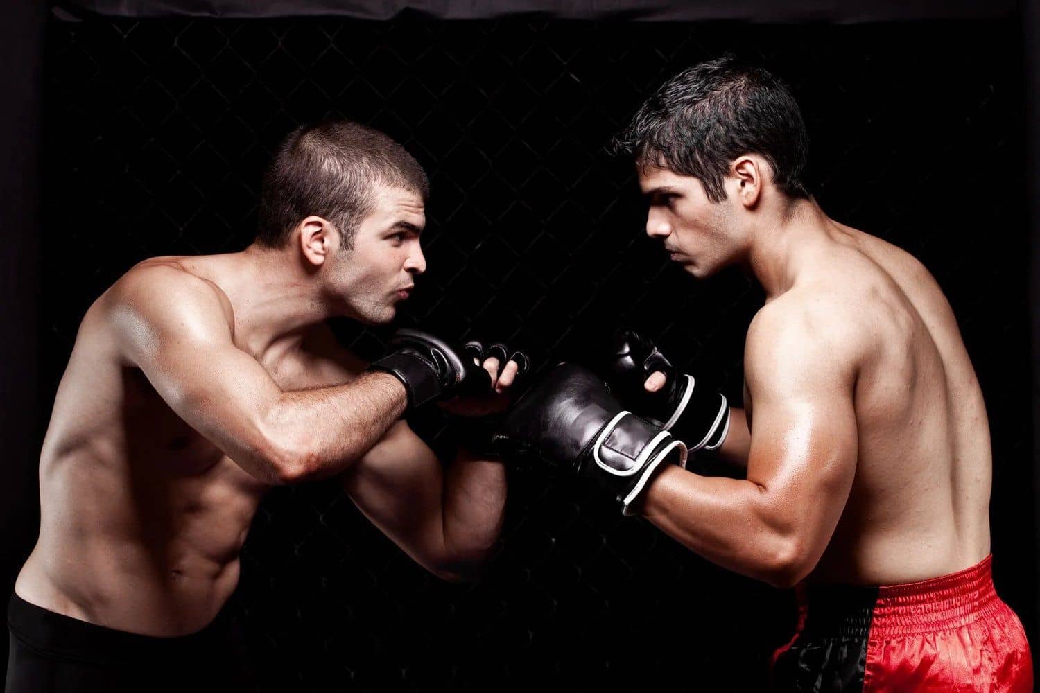 Two boxers squared up in fighting stance